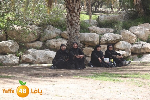 3emwas 0319 (53).JPG